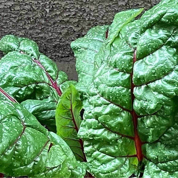 Meet your Posher, Karen - Picture 10 of 17